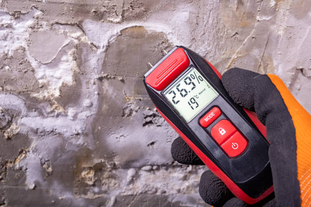Best Industrial Mold Remediation in Twin Grove, IL
